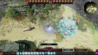 Divinity Original Sin 2 All Pyrokinetic Hydrosophist And Aerotheurge SkillsSpells Showcase [upl. by Yetty]