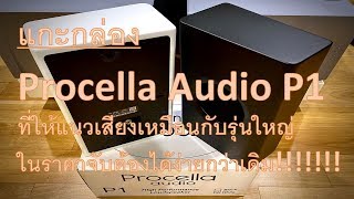 Procella Audio P1 [upl. by Oralle]