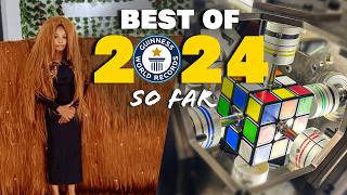 BEST OF 2024 so far Guinness World Records [upl. by Binette721]