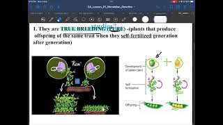 Mendelian genetics  grade 1112 adv lesson 1 1 [upl. by Ajup939]