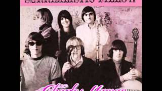 Jefferson Airplane  White Rabbit Mono Single Version With Lyrics [upl. by Quill]