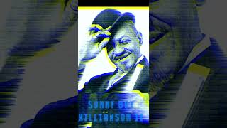 🔥 Sonny Boy Williamsons Raw quotBring It On Homequot Blues [upl. by Burra]