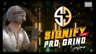 HINDI SIGNIFY GRIND SCRIMS BATTLEGROUND MOBILE INDIA LIVE TeamHydra07 [upl. by Ydnis]