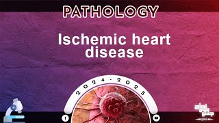 L2 Ischemic heart disease  Pathology [upl. by Elleinnad]