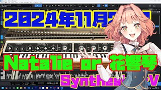 【SynthesizerV】2024年11月20日の即興曲 Natalie or 花響琴 ？ しかしRhodes V8 Pro最高だわ！！ [upl. by Bertrand]