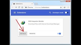 How to Fix IDM Extensions amp Not Showing On Google Chrome [upl. by Netta]