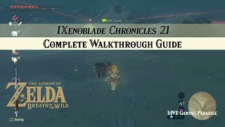 Breath of the Wild  Xenoblade 2 Armour DLC Side Mission Complete [upl. by Hajan926]