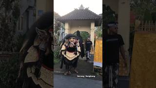 Barong bangkung ukuran Jumbo dari Tabanan [upl. by Seeto]