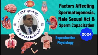 Factors Affecting Spermatogenesis amp Male Sexual Act 102024 by Dr Khaled A Abulfadle [upl. by Aihpos]