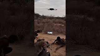 African Tribe Sees a Drone for the First Time [upl. by Ecyaj]