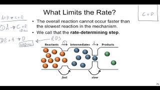 Chemical Kinetics Lecture on Reaction Mechanisms Molecularity and Catalysts [upl. by Llorrad]