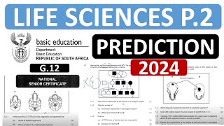 2024 LIFE SCIENCES P2 PREDICTION GRADE 12 LIFE SCIENCES EXAM 2024 PAPER 2 GRADE 12 THUNDEREDUC [upl. by Iad]