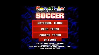 Sensible Soccer On SNES [upl. by Winonah202]