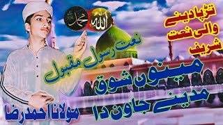 Mainu Shoq Madine Jawan Da 2024 naat  Maulana Ahmed Raza [upl. by Janyte708]