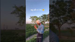 Menu sartaaj fabbe tera ki vichar aa🌷💕 Laara song  Nirvair pannu  lyrics video  shorts status [upl. by Yuh]