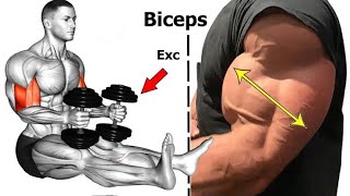 7 Best Dumbbell Exercises to Build Bigger Biceps Fast  Complete Biceps Workout Guide [upl. by Delainey]