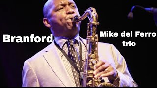 World class Saxophonist Branford Marsalis Sting with the Mike del Ferro Trio  live in Amsterdam [upl. by Fiorenza]