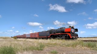 707 Operations R707 The Vinelander Steam Train To Ballarat 1112024  PoathTV Australian Trains [upl. by Irolam]