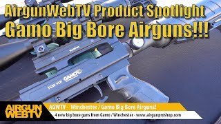 Big Bore Ariguns from Gamo  Winchester  Accuracy Power Shot Count  by AirgunWebTV [upl. by Stoughton678]