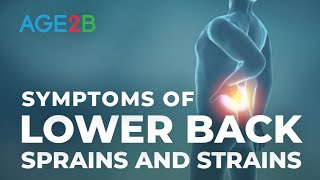 What Are the Symptoms of Lower Back Sprains and Ligament Strains  Lower Back Pain [upl. by Laefar292]