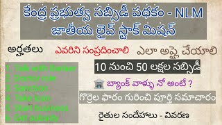 NLM national livestock mission sheep farm details జాతీయ లైవ్ స్టాక్ మిషన్ [upl. by Sarene304]