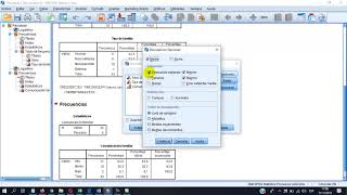 analisis de datos descriptivos spss [upl. by Sussman134]