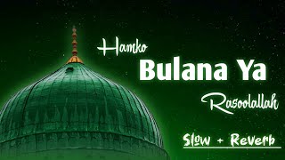 World Famous Naat Humko Bulana Ya Rasool Allah  Mohammad Zaid Ali [upl. by Romeo]