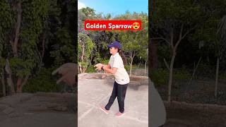 Golden Sparrow😍❤️ dance goldensparrow trending trendingshorts shortsfeed telugu telugureels [upl. by Greenwald612]