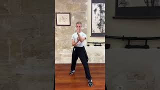 Wing Chun Exercice  Jour 8 martialarts kungfu wingchun [upl. by Arnon236]