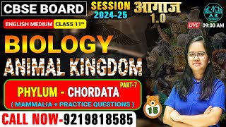 CBSE BOARD  CLASS 11TH BIOLOGY  ANIMAL KINGDOM  LEC15  202425  A K EDUCATION [upl. by Aiyot574]