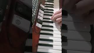 Acordeon Moreschi de 80 bajos accordion akkordeon fisarmonica [upl. by Akyre478]