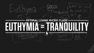 Micro Class Euthymia  Tranquility [upl. by Aserej]