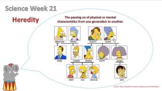 2nd grade Week 21 Science Heredity [upl. by Ihtak]