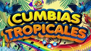 CUMBIAS TROPICALES MIX 2024💃CUMBIAS PARA BAILAR🎶LOS KARKIKSALEX BARMATEO Y SUS TECALDOSEL NEGRO [upl. by Amre]