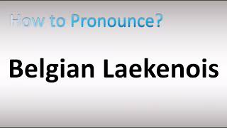 How to Pronounce Belgian Laekenois [upl. by Adamski]