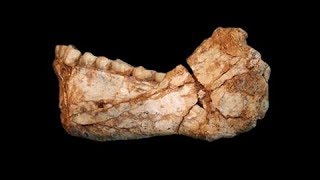 Five Fascinating Recent Discoveries About Human Origins [upl. by Pope209]