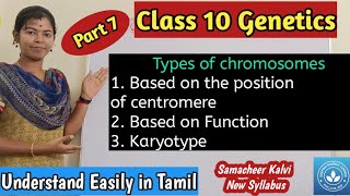 Types of Chromosomes based on the position of centromere and based on the function Karyotype [upl. by Ylrebmi96]