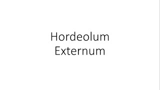 Hordeolum Externum Stye  Ophthalmology [upl. by Einnod]