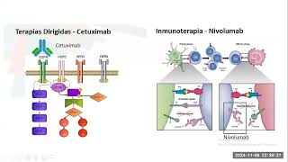 CANCER DE CABEZA Y CUELLO  GENERALIDADES  CANCER TIROIDES [upl. by Shanleigh]