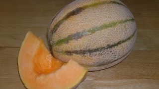 When is it ripe Tuscan Style Muskmelon [upl. by Spragens]