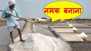 Natural Salt Making with Sea Water  NaCl  Salt Mineral Make Process India  नमक बनाने की प्रक्रिया [upl. by Mharba116]