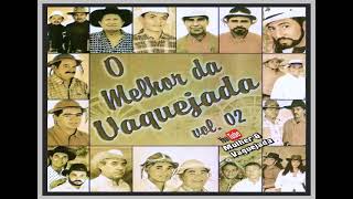 O Melhor da Vaquejada  Vol02 [upl. by Treiber321]