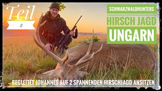 Rothirsch  Sauen  Ungarn  Johannes auf Rothirsche in Ungarn  Schwarzwaldhunters  Teil 2 [upl. by Yerfdog]