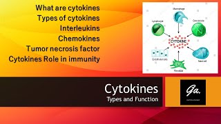 CYTOKINES Interleukins and their functions Interferons Chemokines Immunology [upl. by Adlesirg]