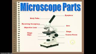 Introduction to Microscopes [upl. by Maclaine]