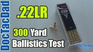 22lr Lethality Revisited  300 Yard Ballistics Test  Clear Ballistics [upl. by Eilloh]