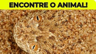 ENCONTRE OS ANIMAIS CAMUFLADOS NAS IMAGENS [upl. by Roche557]