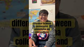 difference between parenchyma collenchyma and sclerenchymashortvideo [upl. by Yoko864]