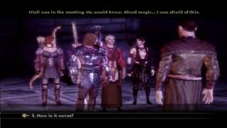 Dragon Age Origins  28 Blood Mages  Revenant Fight Human Noble [upl. by Halvaard]