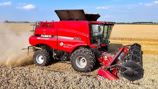 Wintertarwe oogst Case IH Axialflow 7130 Hvan Oosten Meeden 4K [upl. by Aihtibat948]